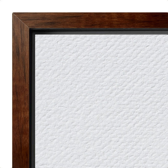 Floating Frame with Canvas